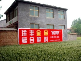 沅江市如何让墙体广告展现最大化效果
